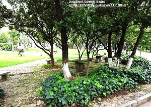 034-Quentin - Kunming 